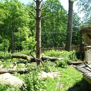 Vulture aviary at Zlin, 28/05/10