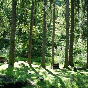 Lemur Island at Zlin, 28/05/10