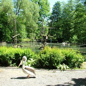 Asian Waterfowl Lake at Zlin, 28/05/10