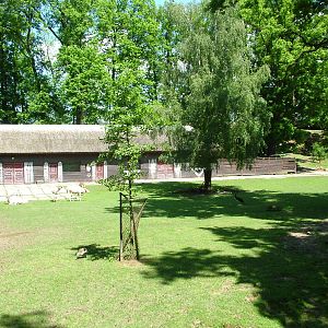 African paddock at Zlin, 28/05/10