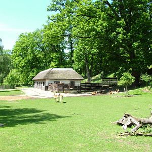 African Paddock at Zlin, 28/05/10