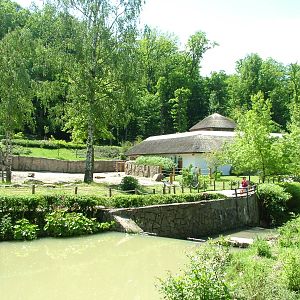 Elephant House and paddock at Zlin, 28/05/10