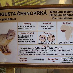 Signage example at Zlin, 28/05/10