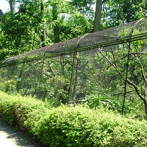Hornbill Avairies at Zlin, 28/05/10