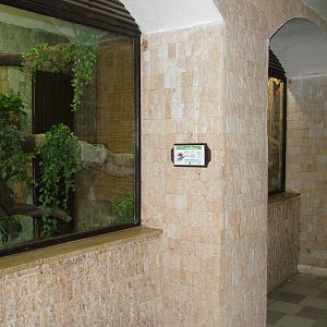 Reptile exhibits at Zlin, 28/05/10