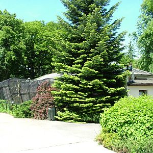 Primate House at Zlin, 28/05/10