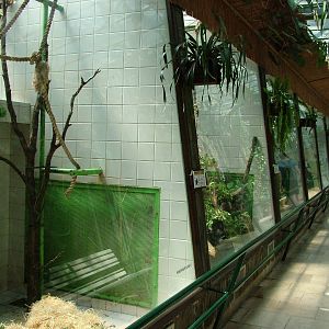 Primate House interior at Zlin, 28/05/10