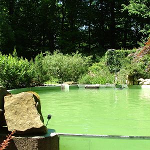 Penguin Pool at Zlin, 28/05/10