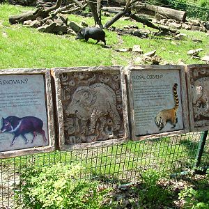 Signage example at Zlin, 28/05/10