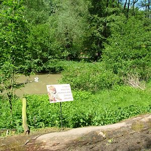 Development site at Zlin, 28/05/10