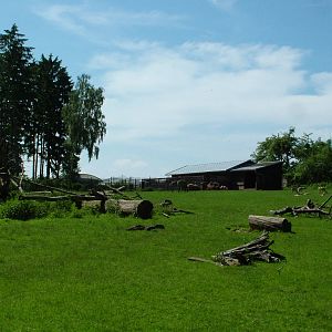 Asian paddock at Zlin, 28/05/10