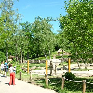 Elephant paddock at Zlin, 28/05/10