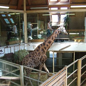 Africa House interior at Zlin, 28/05/10