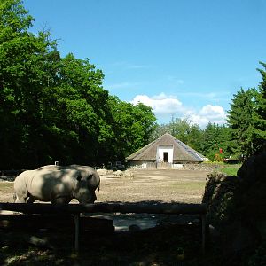 African paddock at Zlin, 28/05/10
