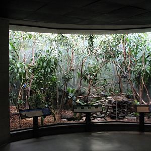 Bird House - Tropical Forest Exhibit