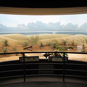 Bird House - Seashore Exhibit