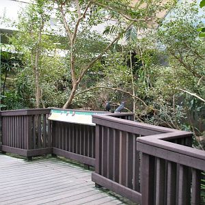 Bird House - Tropical River Exhibit