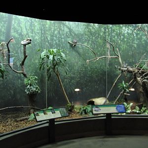 Bird House - Forest Edge Exhibit