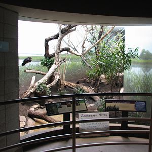 Bird House - Wetland Exhibit