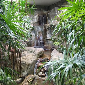 Bird House - Tropical River Exhibit