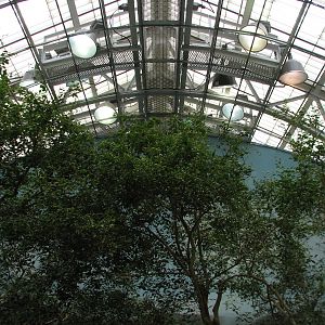 Bird House - Tropical River Exhibit