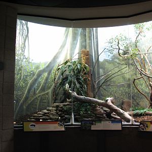 Bird House - Tropical Forest Exhibit