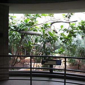 Bird House - Deep Forest Exhibit