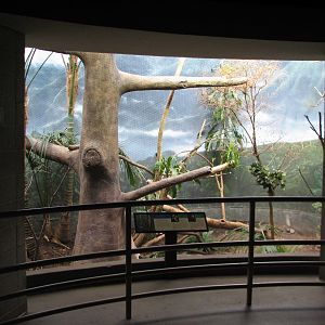 Bird House - Mountain Clearing Exhibit