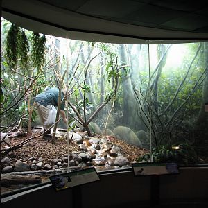 Bird House - Riverbank Exhibit