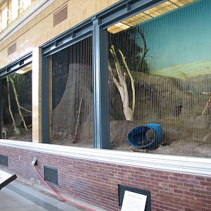 Lion House - Jaguar Exhibit