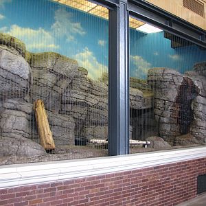 Lion House - Black Leopard Exhibit