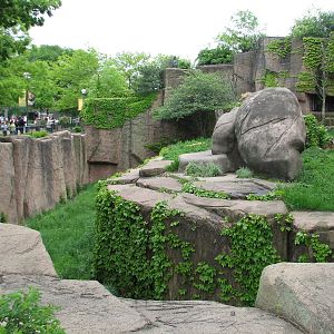 Lion House - African Lion Exhibit