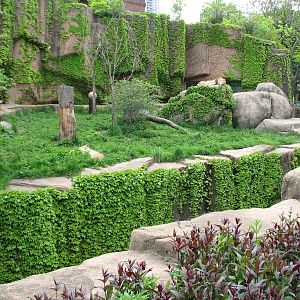 Lion House - African Lion Exhibit