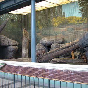 Lion House - Amur Tiger Bedroom