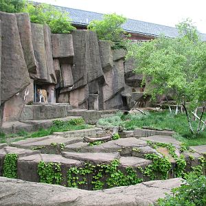 Lion House - Amur Tiger Exhibit