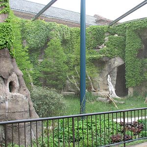 Lion House - Pallas Cat Exhibit