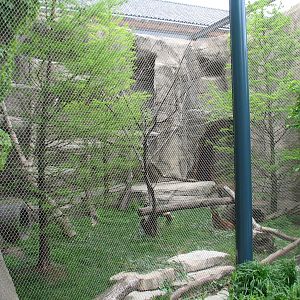 Lion House - Red Panda Exhibit