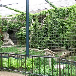 Lion House - Snow Leopard Exhibit