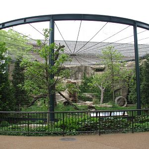 Lion House - Afghan Leopard Exhibit