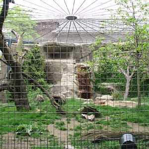 Lion House - Afghan Leopard Exhibit