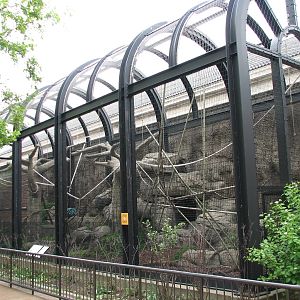 Primate House - White-cheeked Gibbon Exhibit - Outdoor Part