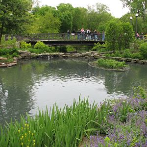 Waterfowl Lagoon - Swan Pond