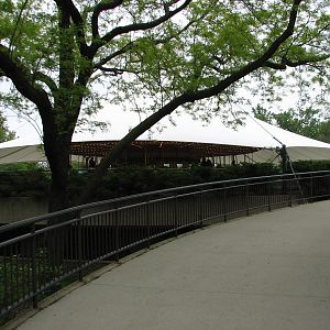 Endangered Species Carousel