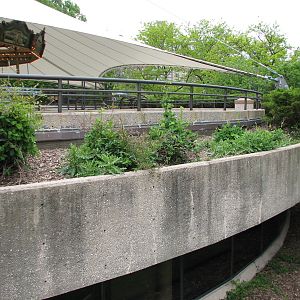 Endangered Species Carousel