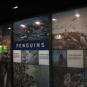 Penguin and Seabird House - Interior Graphics