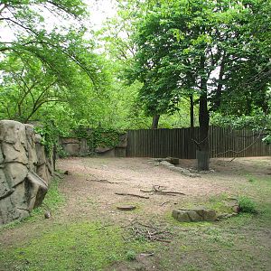 Antelope and Zebra Area - Empty Exhibit