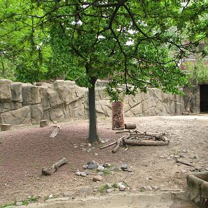 Antelope and Zebra Area - Sichuan Takin Exhibit 1