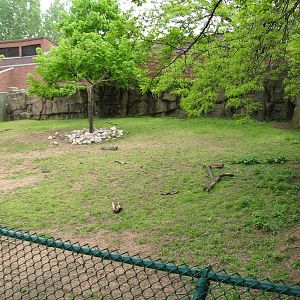 Antelope and Zebra Area - Sichuan Takin Exhibit 2