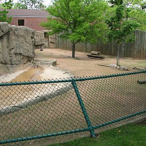 Antelope and Zebra Area - Alpaca Exhibit