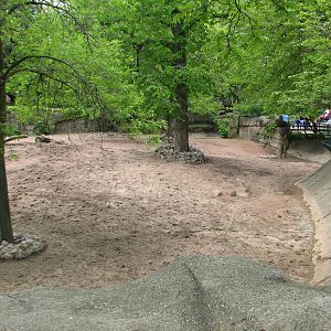 Antelope and Zebra Area - Grevys Zebra Exhibit